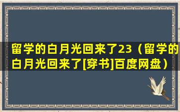 留学的白月光回来了23（留学的白月光回来了[穿书]百度网盘）